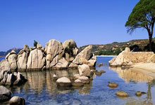 单节21-3！半场中国女篮领先韩国21分